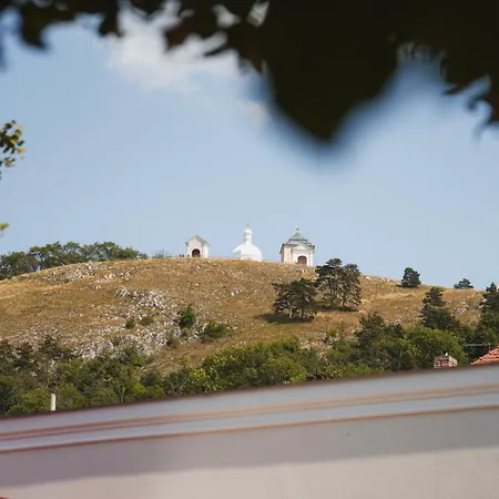 Stepan Gasthuis Mikulov